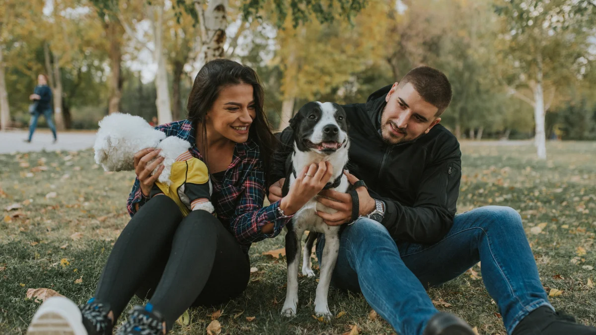 Divorcio en CDMX: ahora podrás pedir custodia compartida de mascotas