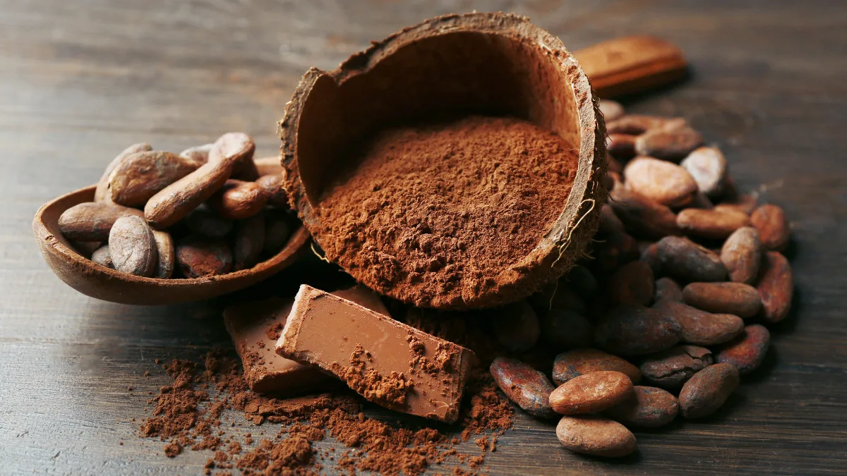 Cacao en México: Historia, ciencia y cultura