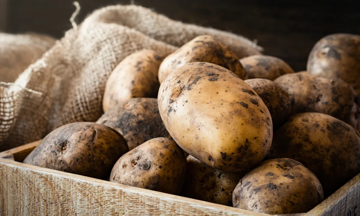 origen de las papas