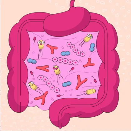 Microbiota intestinal