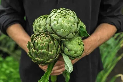 alimentos que son buenos para tu páncreas