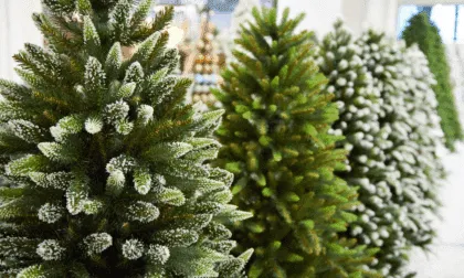 árbol de Navidad natural o artificial