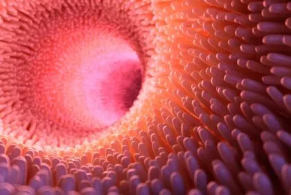 los probióticos a yudan a tu salud