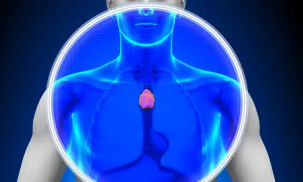 el sistema inmunitario se desgasta en silencio.