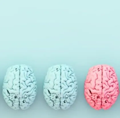 Como evoluciona tu cerebro